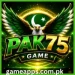 PAK75 Game