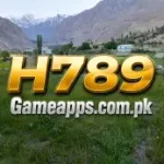 H789 Game